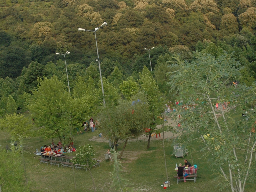fotoğraf galerisi